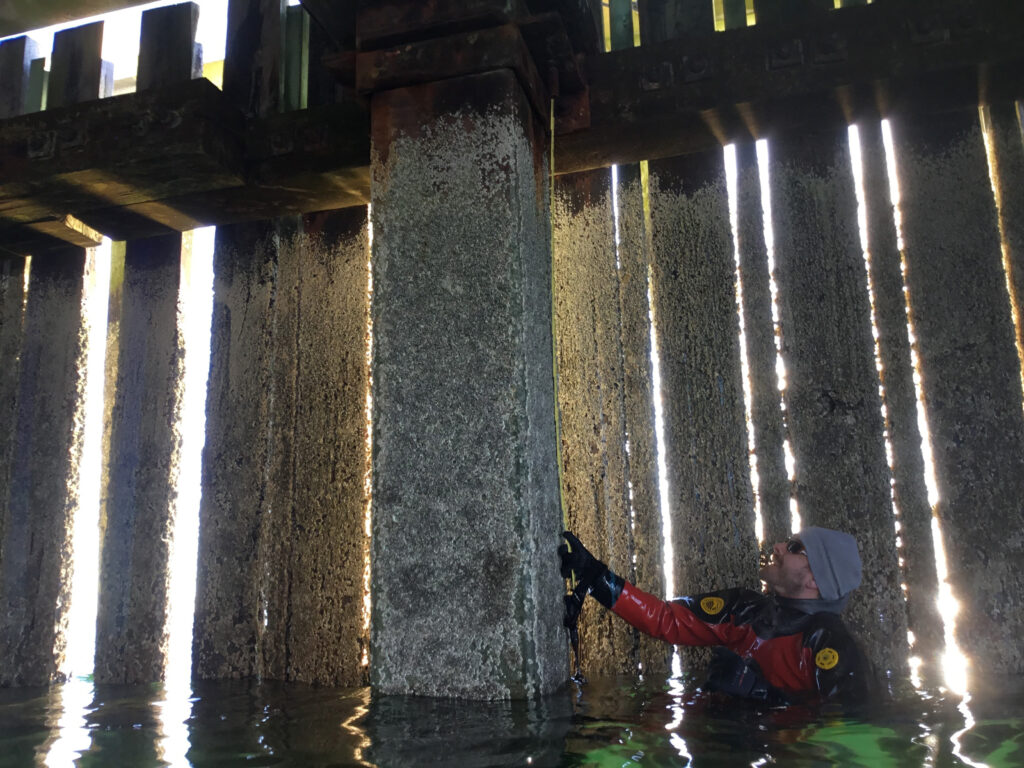 Engineer-diver performing inspection of concrete piles supporting the pier